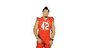 Utah Utes Sticker by Utah Football