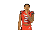Utah Utes Sticker by Utah Football