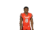 Utah Utes Sticker by Utah Football