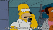 Season 19 Episode 10 GIF by The Simpsons