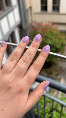 sandragimmel giphygifmaker GIF