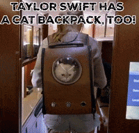 Taylor Swift Cats GIF by Your Cat Backpack