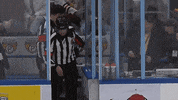 GIF by Milwaukee Admirals