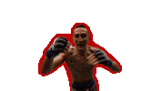 Max Holloway Ufc Sticker by Sanabul