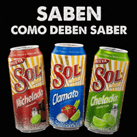 CervezaSol_Mx cervezasol lamezclaperfecta palcalor salioelsol GIF