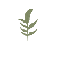 galuhpasha plants leaves flora galuhpasha Sticker