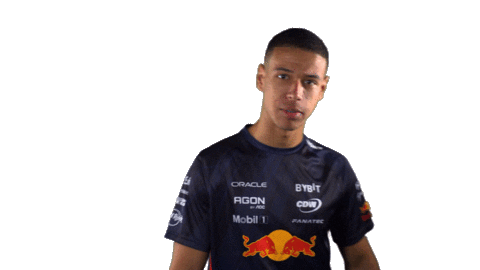 Red Bull Sr Sticker by Oracle Red Bull Racing