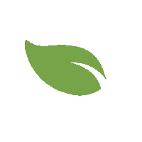 Kids Leaf Sticker by Cherubino