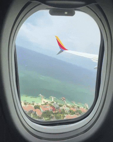 Flying Puerto Rico GIF