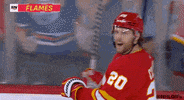 Ice Hockey Hug GIF by NHL