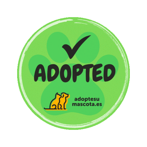 adoptesumascota giphyupload cat dog gato Sticker