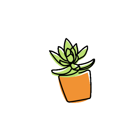 Sucstu giphyupload home modern cactus Sticker