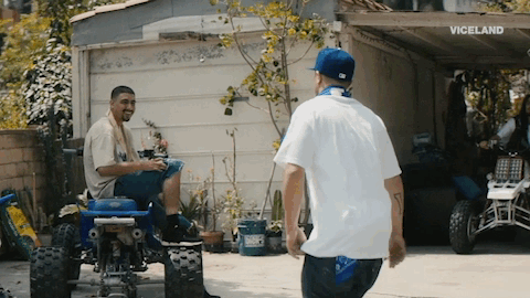 viceland GIF by Dead Set on Life