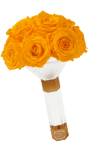 wedding rose Sticker by Venus ET Fleur