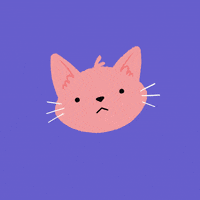 studioliane cutecat loveme catlove pleaseloveme GIF