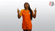 nwsl soccer celebration nwsl houston dash GIF