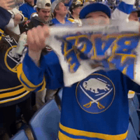 Buffalo Sabres Nfl GIF by Respective