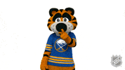 Ice Hockey Sport GIF by NHL