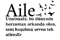 Aile Sticker