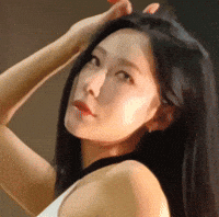 Model GIF