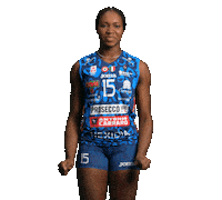 Adigwe Sticker by ImocoVolley