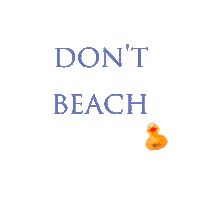 Live_Aqua fun summer beach sun Sticker