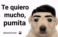 Memesdagama GIF