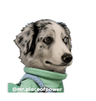 Dog Sticker