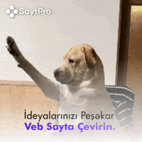 Saytpro GIF