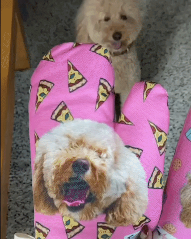 FunnyAprons giphygifmaker funny oven mitts custom oven mitts dog mitts GIF