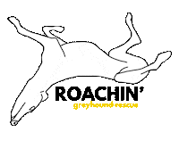 GreyhoundRescue greyhound rescue dog greyhound rescue greyhoundrescue Sticker
