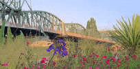 oregon portland GIF
