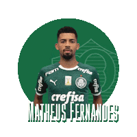 happy soccer Sticker by SE Palmeiras