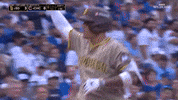 San Diego Padres GIF by MLB