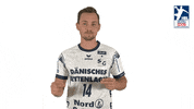 Handball-Bundesliga Dance GIF by LIQUI MOLY HBL