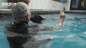 Dogwhisperer GIF by National Geographic Channel