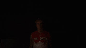 Afl GIF by Sydney Swans