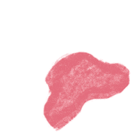 Cat Sticker