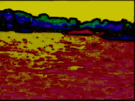 boat houston GIF by MFD