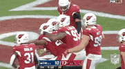 Pick Six Arizona Cardinals GIF by NFL