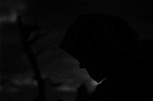 ingmar bergman GIF by Maudit