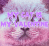Valentines Day GIF