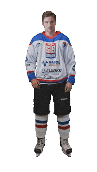 Hockey Player Sticker by STS Sanok