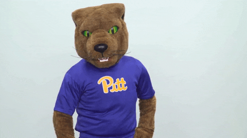 sad college sports GIF by Pitt Panthers