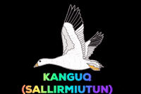 Inuvialuit GIF by Tusaayaksat Magazine