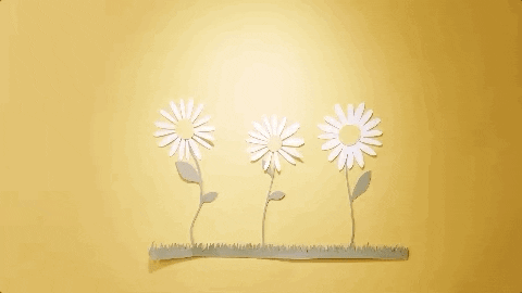 kacey musgraves lyric video GIF
