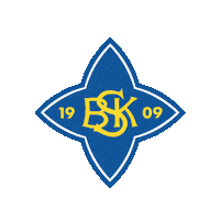 Bsk Rema1000Ligaen Sticker by Norsk Topphåndball