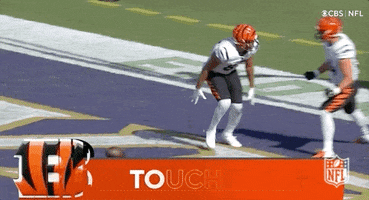 Cincinnati Bengals Football GIF by NFL