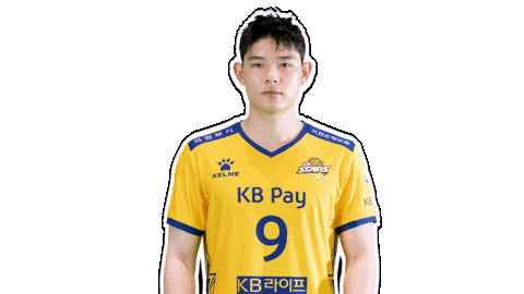 Kb스타즈 Sticker by KB STARS VOLLEYBALL CLUB