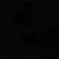 Vs Truth GIF